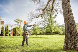 Landscape Design and Installation in Fredonia, NY